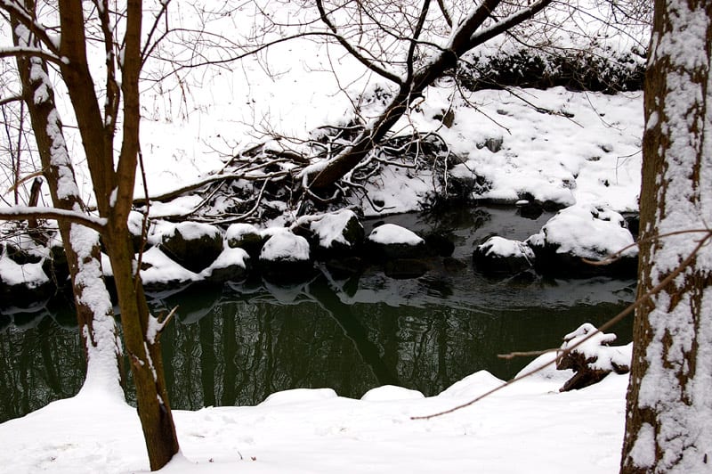 high park snow covered river
