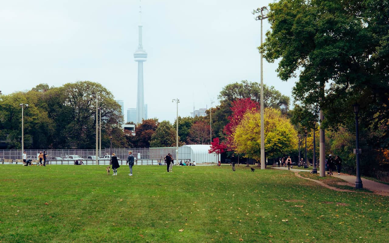 view of cn tower from trinity bellwoods park